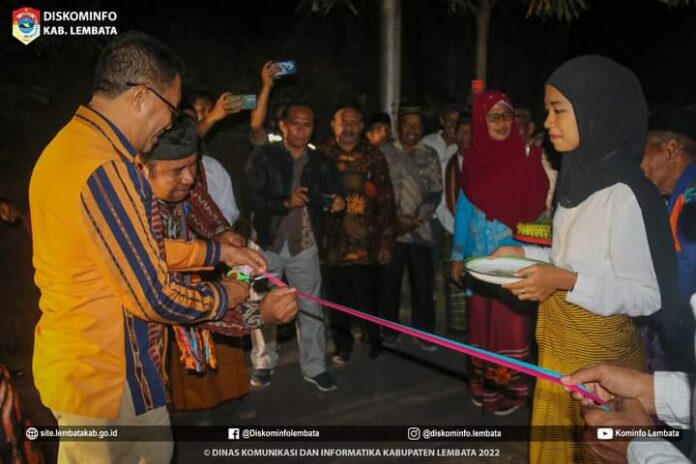 halal1.jpg