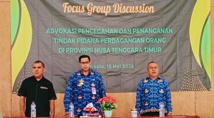 tppo.jpg